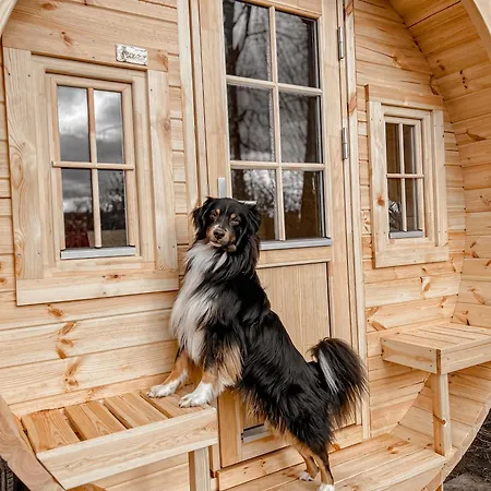 Wohnen Im Campingcube Direkt Am Rhein Köln