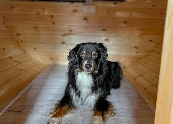 Wiesenhaus Wohnen Im Schlaffass 营地 科隆