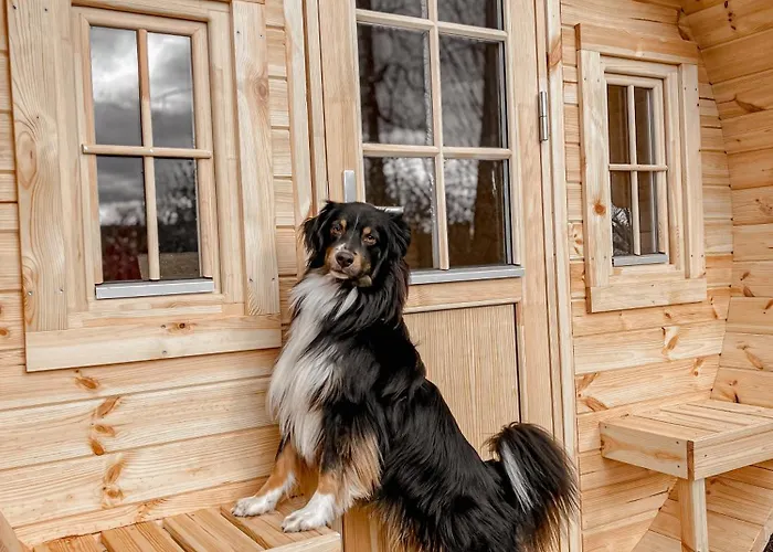 Wiesenhaus Wohnen Im Schlaffass Köln