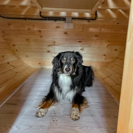 Wiesenhaus Wohnen Im Schlaffass Camping Cologne